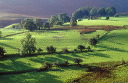 long shadows in Coledale