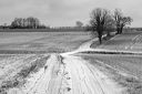 Hertfordshire Winter