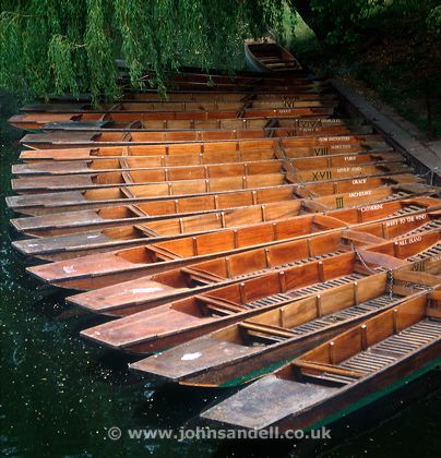 punts.jpg
